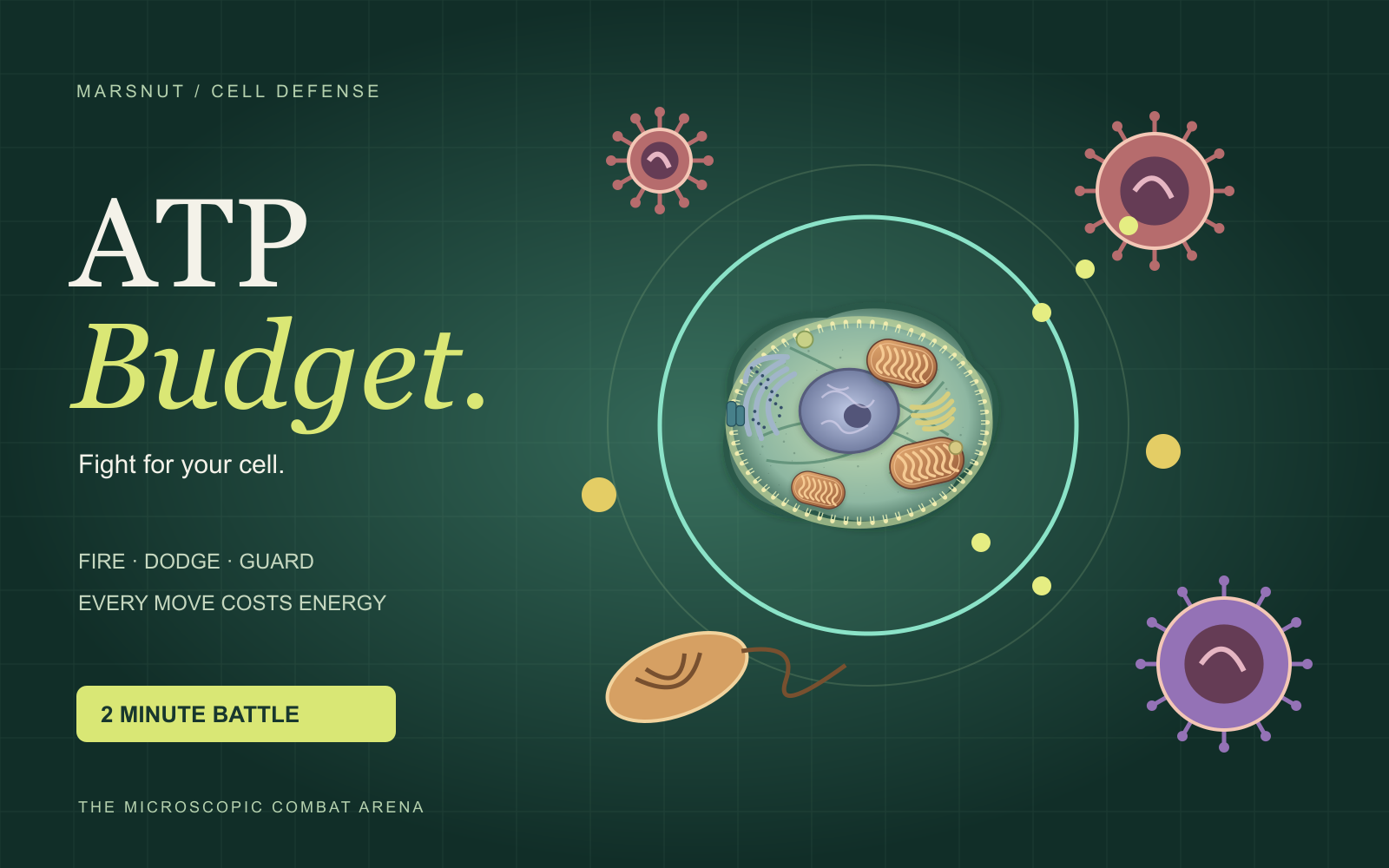 Defender cell facing viral and bacterial foes in a microscopic combat arena